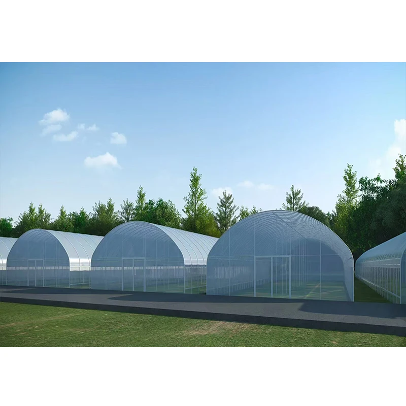 # l Low Cost Farm Singlespan G – Organic Farming In Agriculture Bewertung und Preis