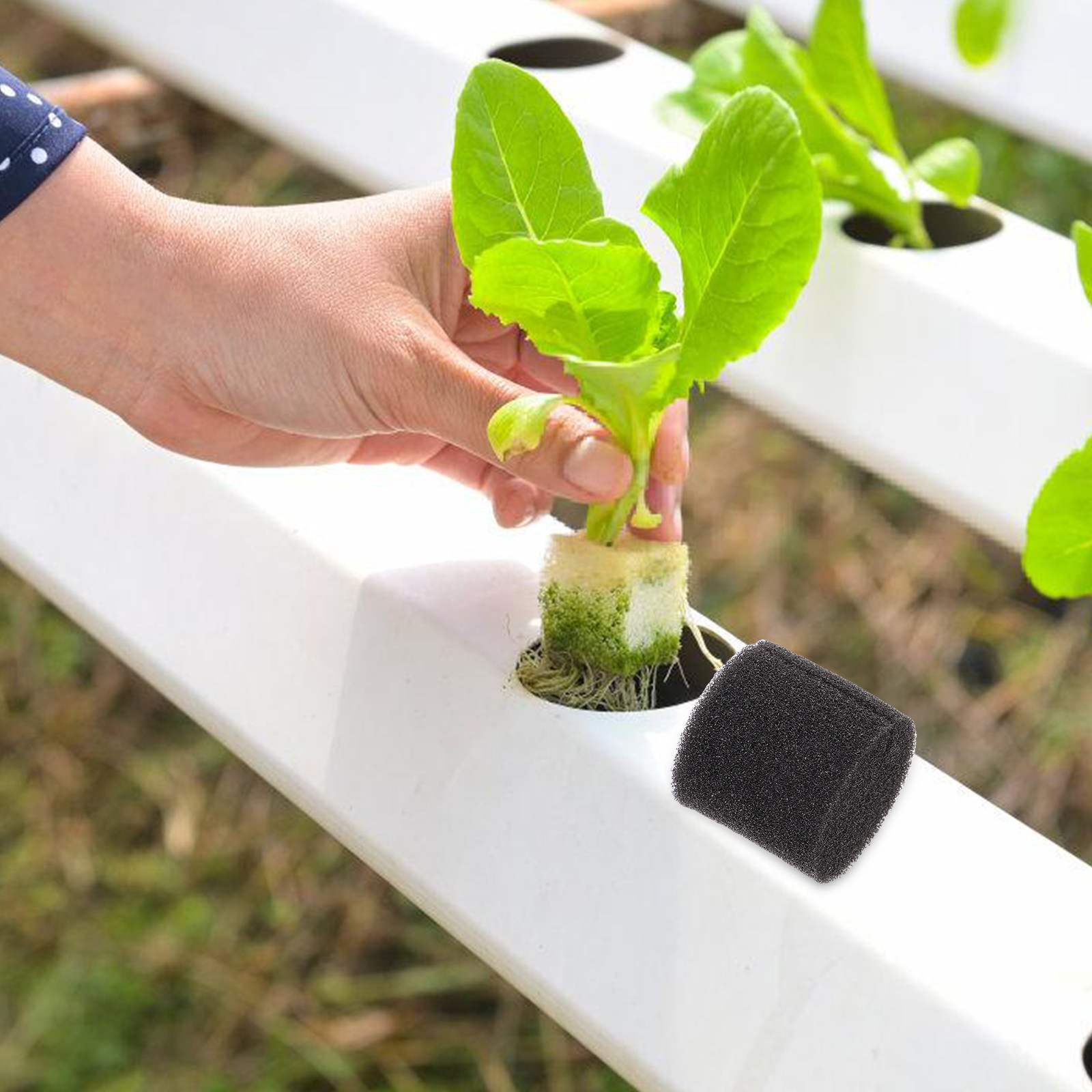 100Pcs Hydroponic Sponge Growi – Vegetable Transplanter Bewertung und Preis