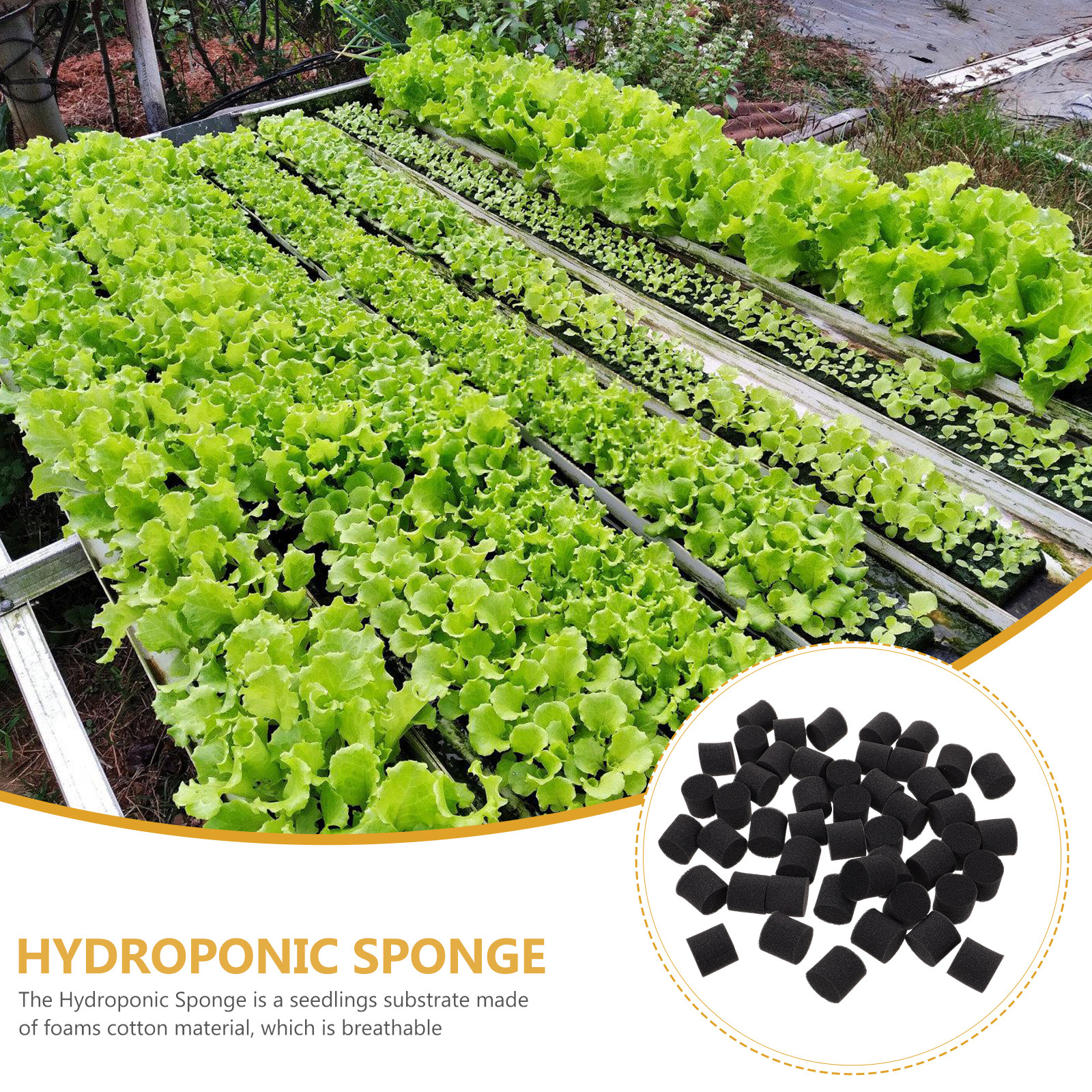 100Pcs Hydroponic Sponge Growi – Vegetable Transplanter Bewertung und Preis