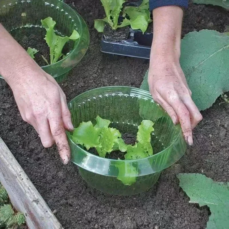 Plants Slug Protection Rings V – Vegetable Transplanter Bewertung und Preis