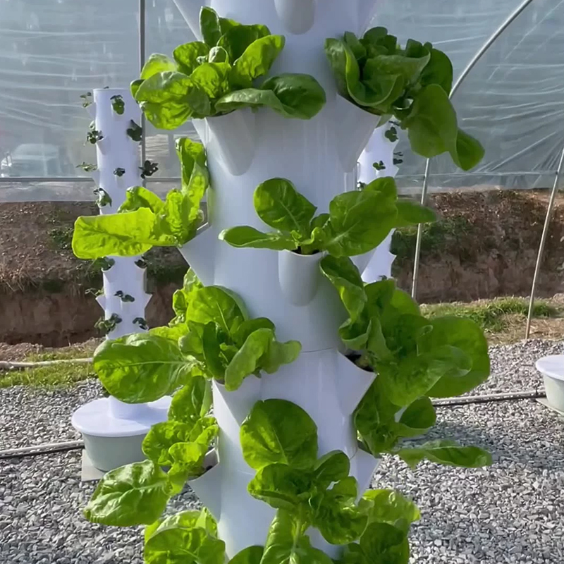 With Led Grow Light Space Tree – Vegetable Transplanter Bewertung und Preis