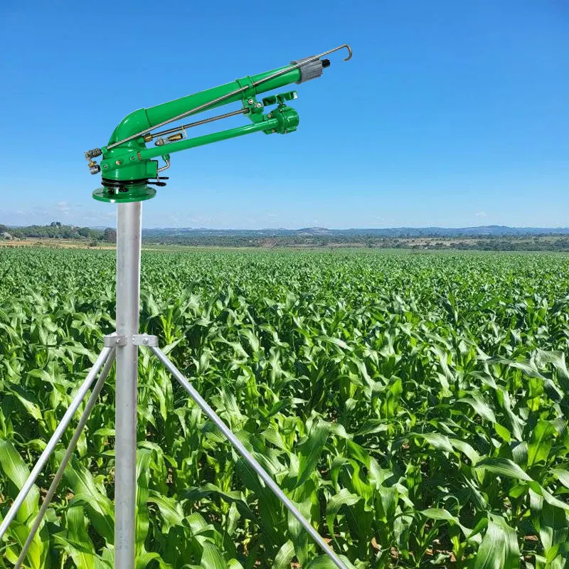 Agricultural  Maize Farm Sprin – Organic Farming In Agriculture Bewertung und Preis